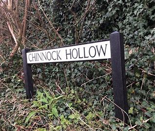 Chinnock Hollow